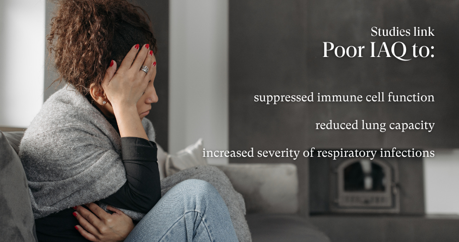 understand iaq and immunity