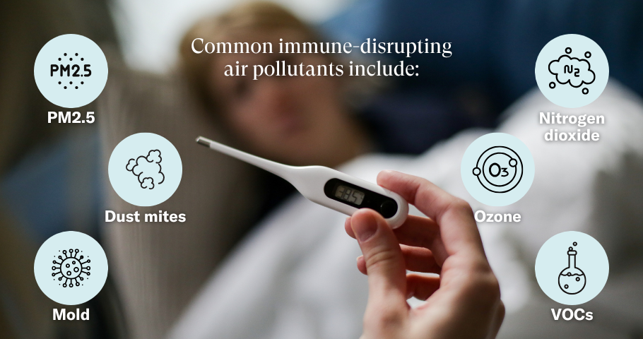 Air Pollutants That Compromise Immune Defense